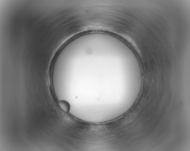 X0000073870887200608312050