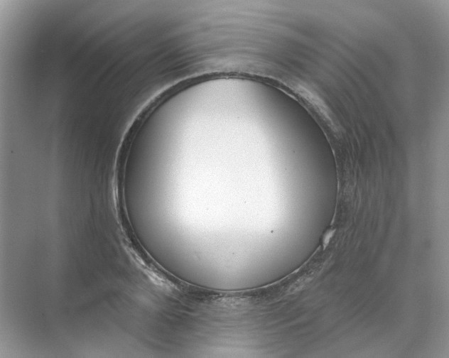 X0000073870888200608312049