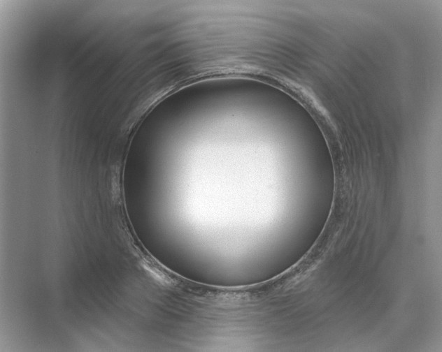 X0000073870889200608312049