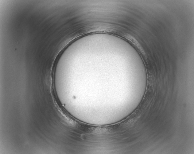 X0000073870890200608312049