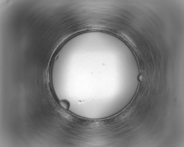 X0000073870891200608312049