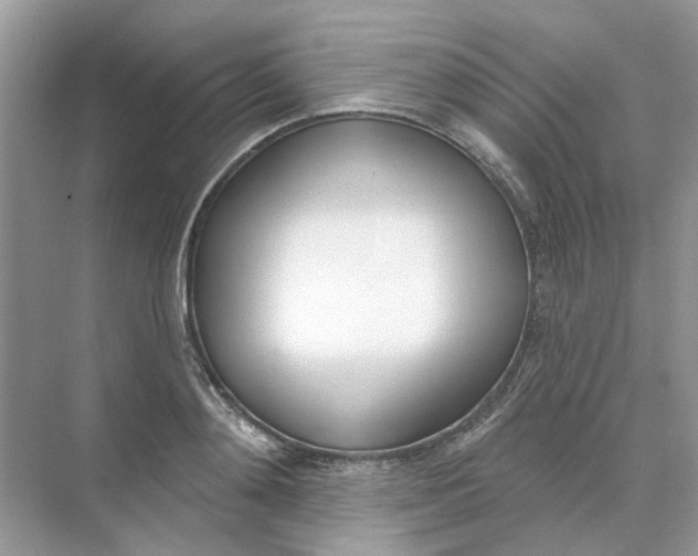 X0000073870892200608312049