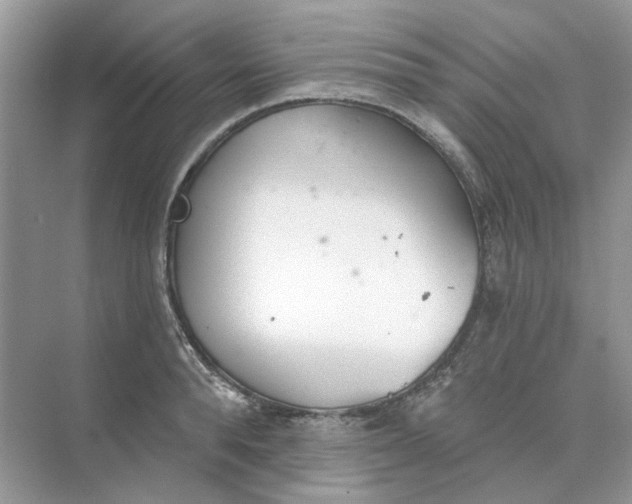 X0000073870896200608312049