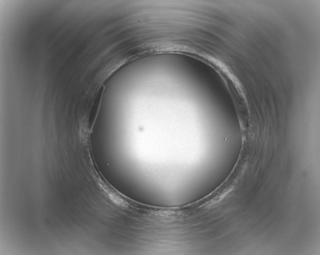 X0000073870897200608312049