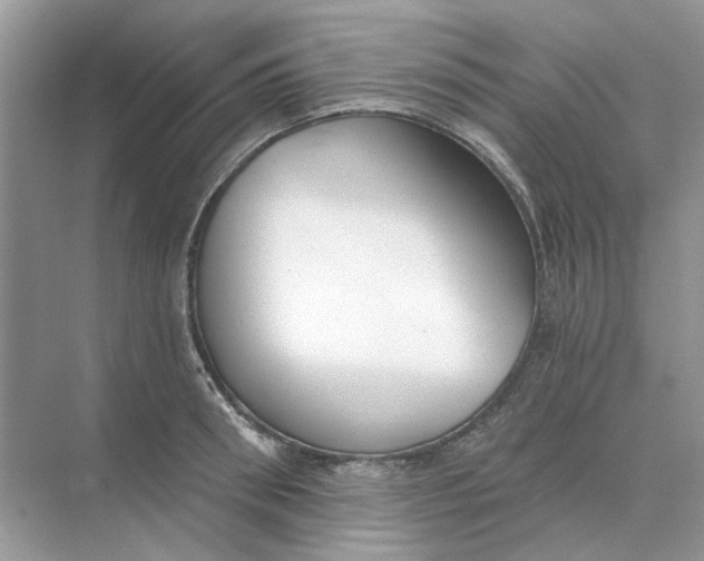 X0000073870898200608312049