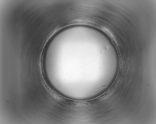 X0000073870899200608312049