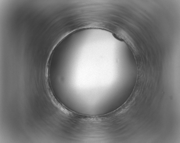 X0000073870900200608312049