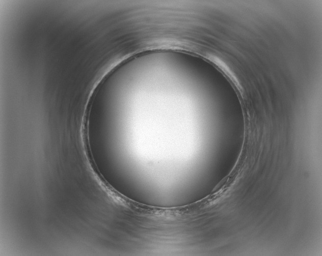 X0000073870901200608312049