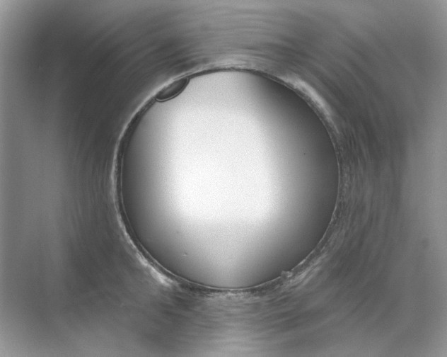 X0000073870902200608312049