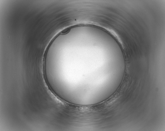 X0000073870903200608312049