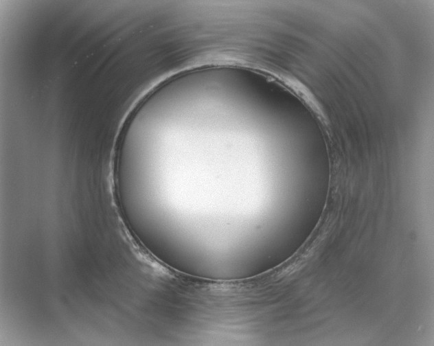 X0000073870904200608312049