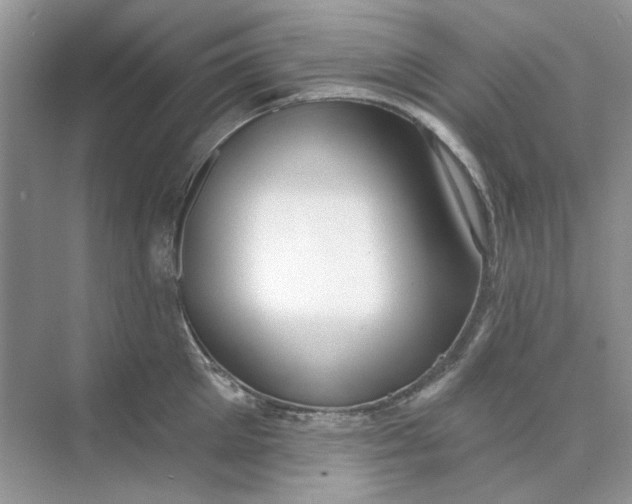 X0000073870905200608312049