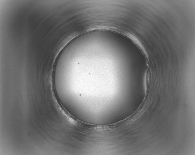 X0000073870906200608312049