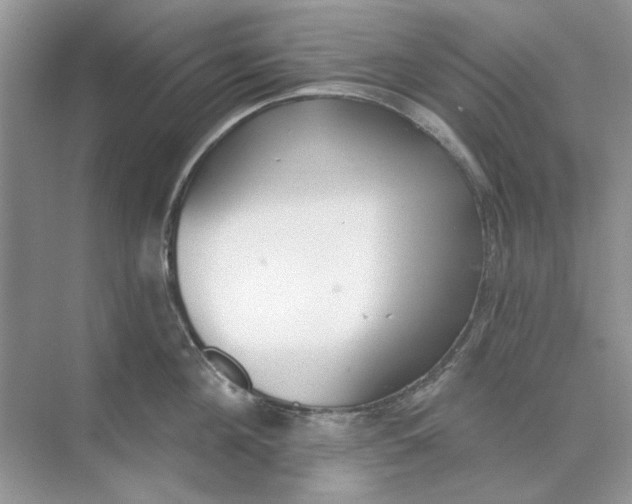 X0000073870908200608312049