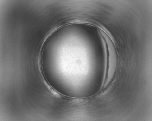 X0000073870909200608312049