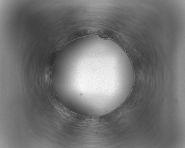 X0000073870914200608312048