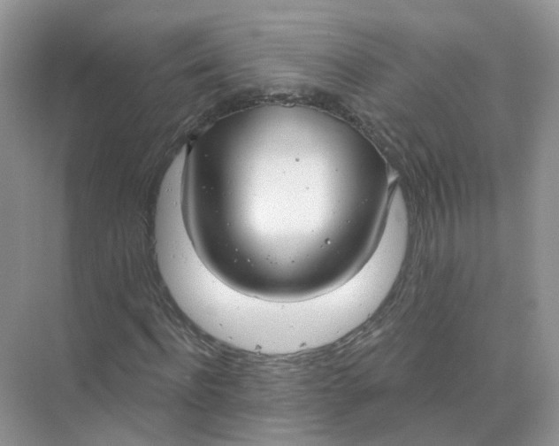 X0000073870916200608312048