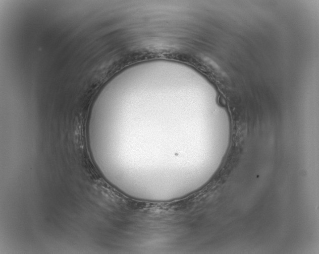 X0000073870917200608312048