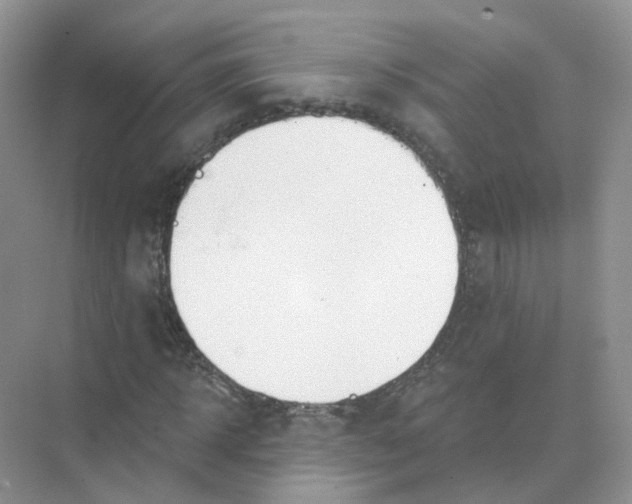 X0000073870918200608312048