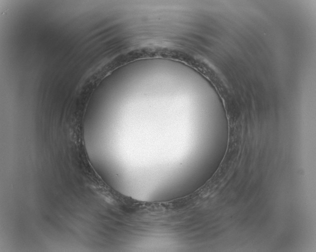 X0000073870919200608312048