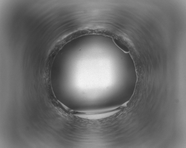 X0000073870920200608312048