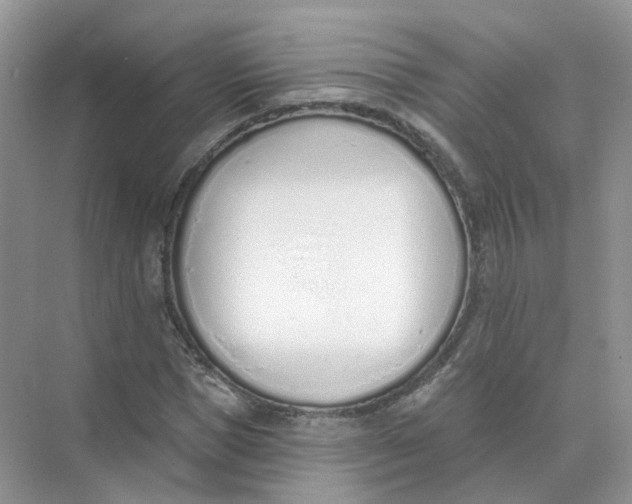 X0000073870921200608312048