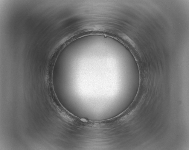 X0000073870922200608312048