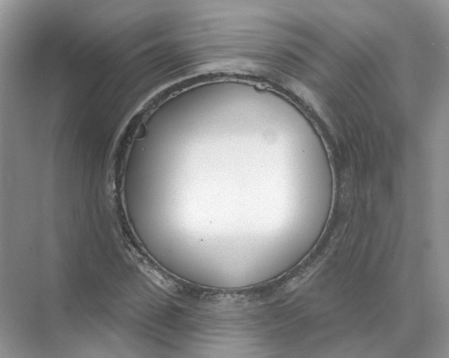 X0000073870923200608312048