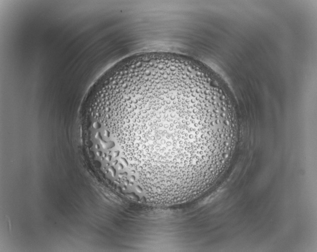 X0000073870925200608312048