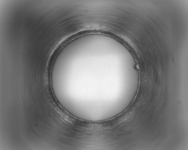 X0000073870927200608312049