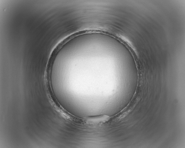 X0000073870928200608312049