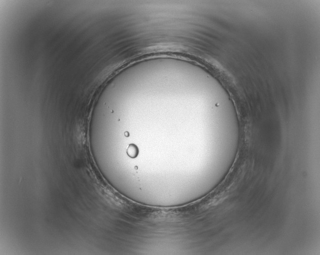 X0000073870929200608312049