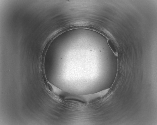 X0000073870930200608312049