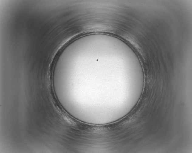 X0000073870933200608312049