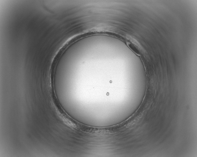 X0000073870934200608312049