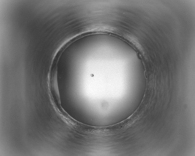 X0000073870936200608312049