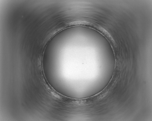 X0000073870937200608312049