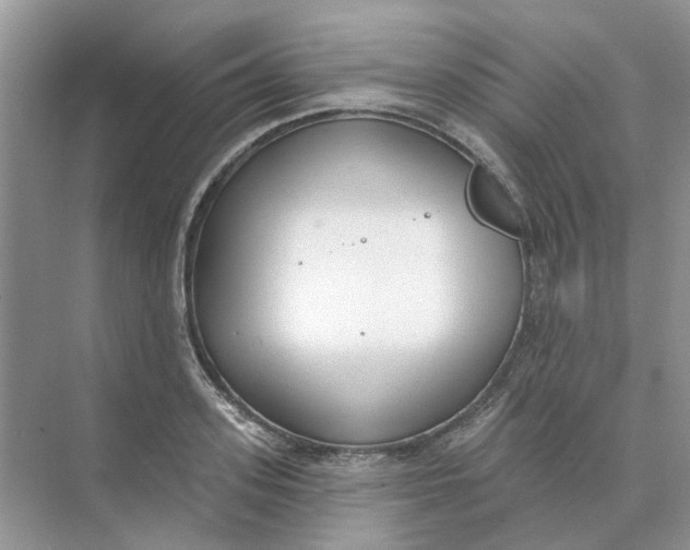 X0000073870939200608312049