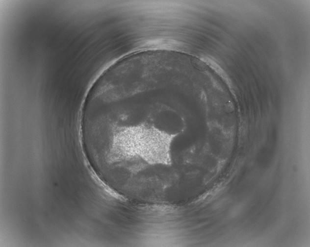 X0000073870941200608312049