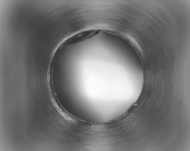 X0000073870944200608312049