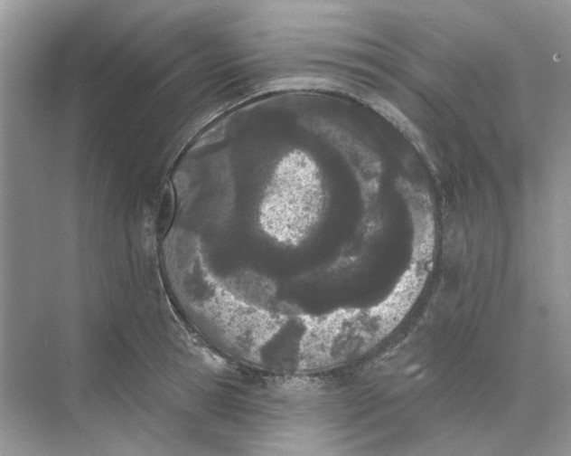 X0000073870945200608312049