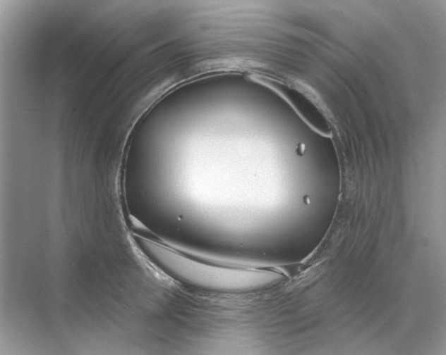 X0000073870946200608312049