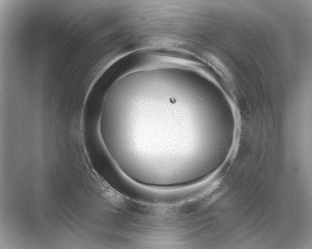 X0000073870948200608312049