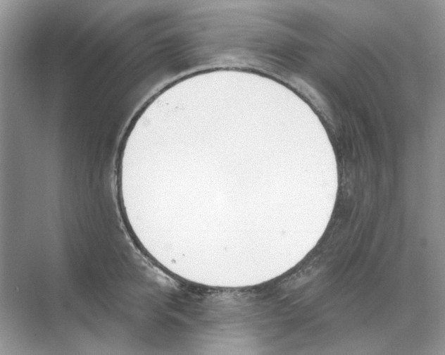 X0000073870950200608312049