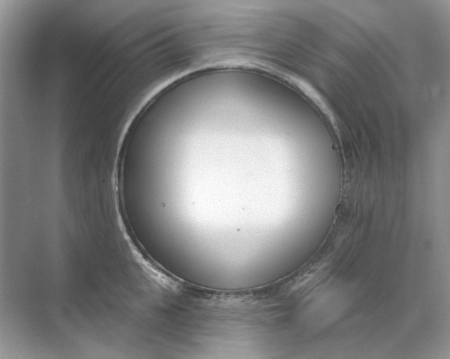 X0000073870951200608312049