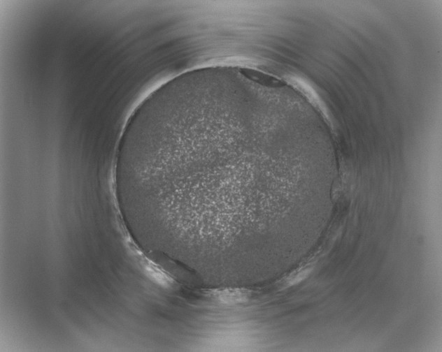 X0000073870952200608312049