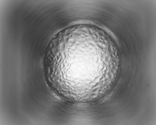 X0000073870953200608312049