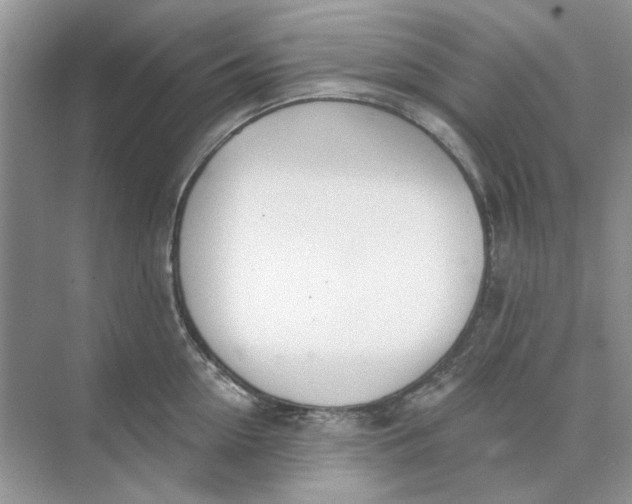 X0000073870954200608312049