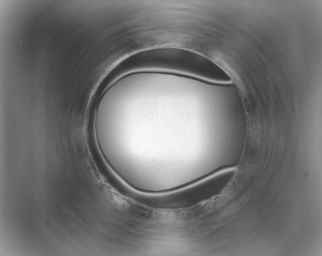 X0000073870956200608312049