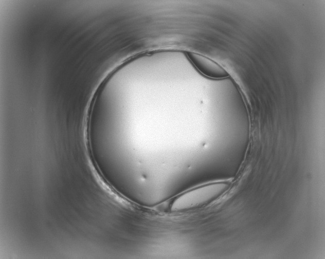 X0000073870957200608312049